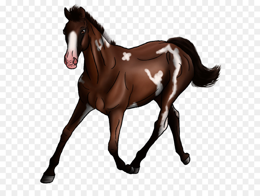 Caballo Marrón，Equino PNG