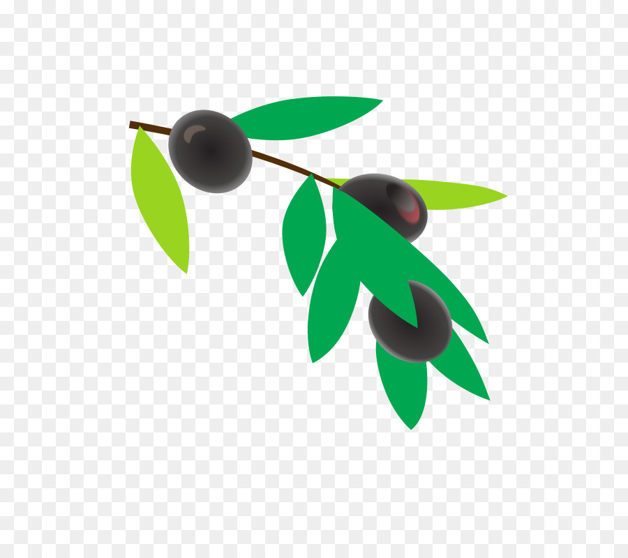 Café，Coffea PNG