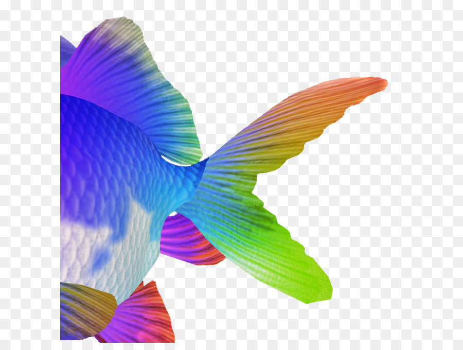 Pez，Colibrí M PNG