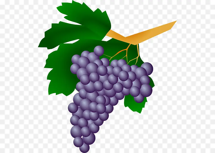 Vino，Uva PNG