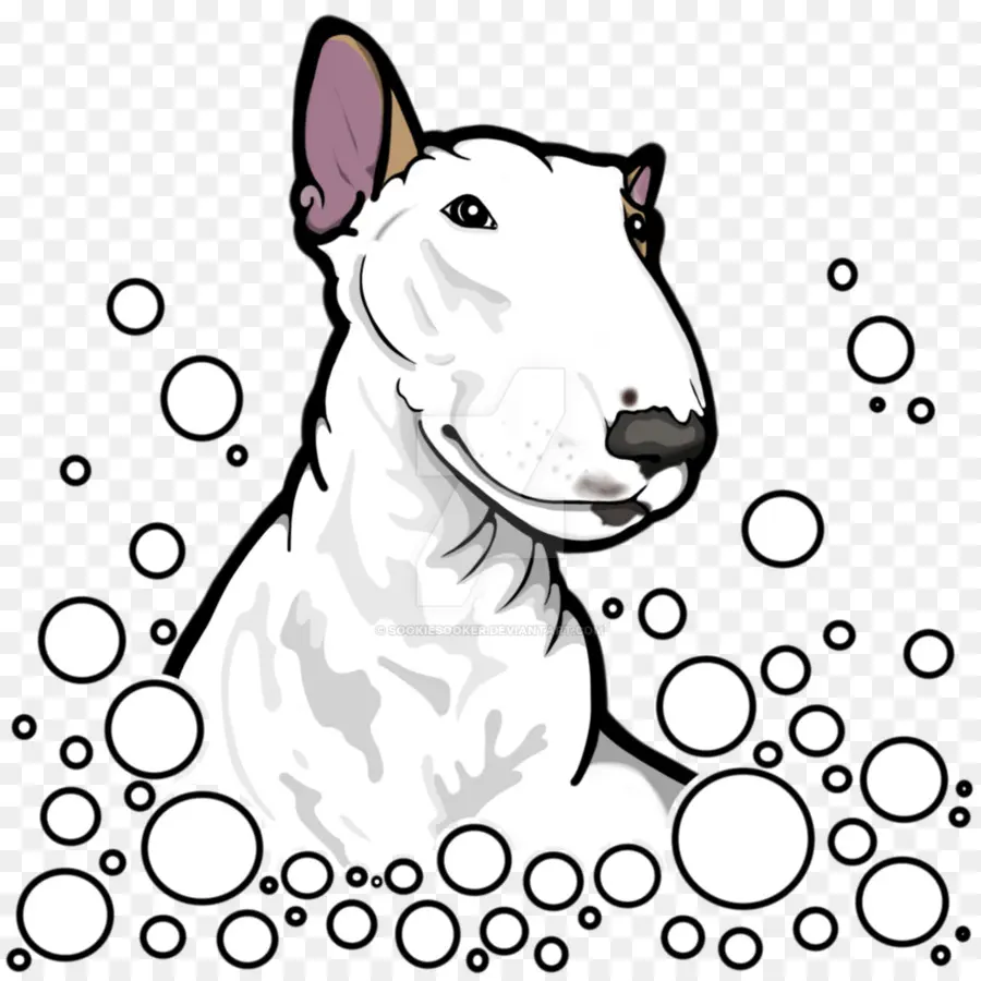 Raza De Perro，Bull Terrier PNG