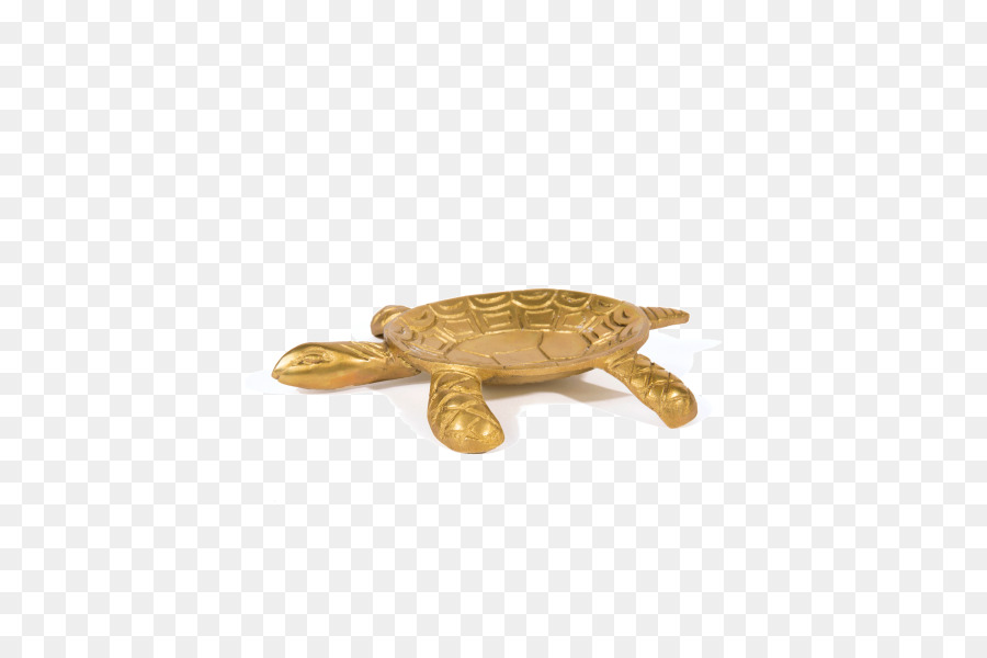 Tortuga，Joyería PNG