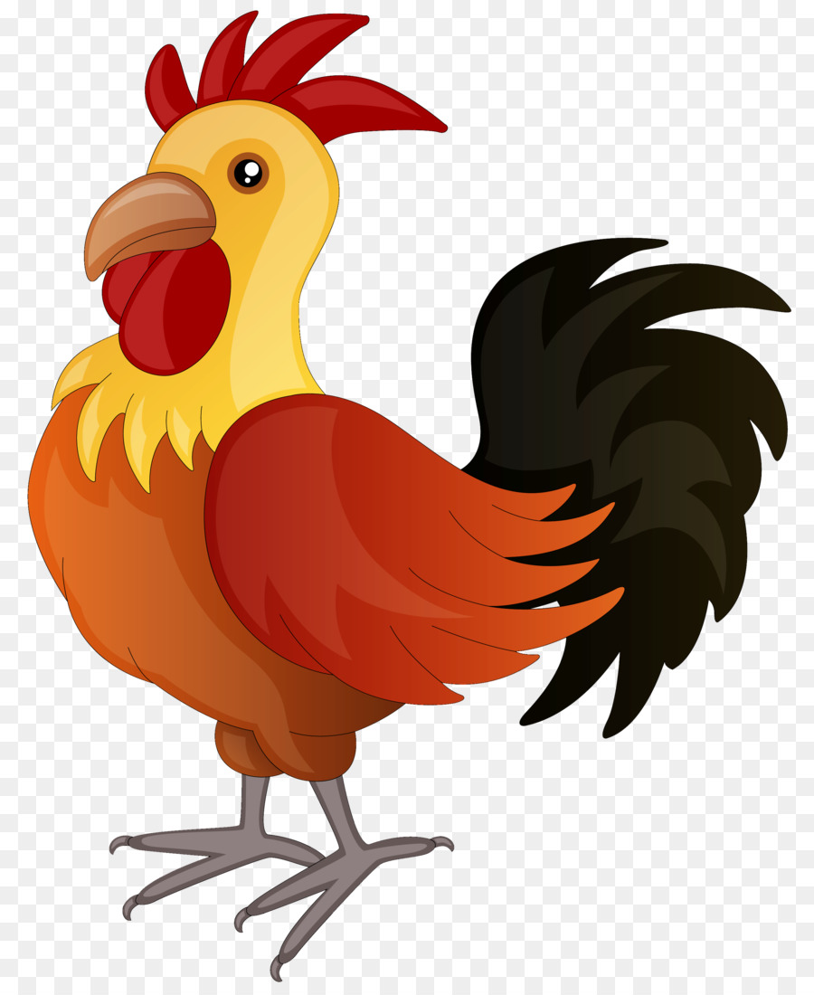 Gallo，Moderno Juego De Las Aves PNG