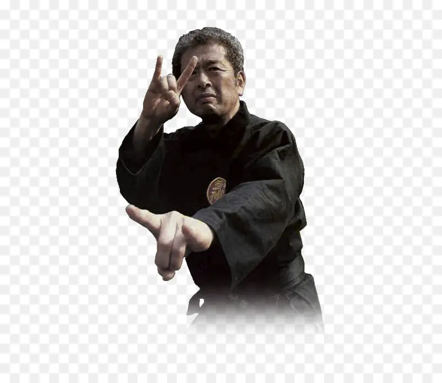 Masaaki Hatsumi，Bujinkan PNG