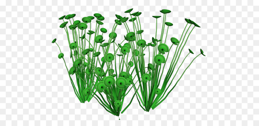 Plantas Verdes，Hojas PNG