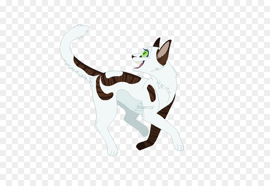 Gato，Perro PNG