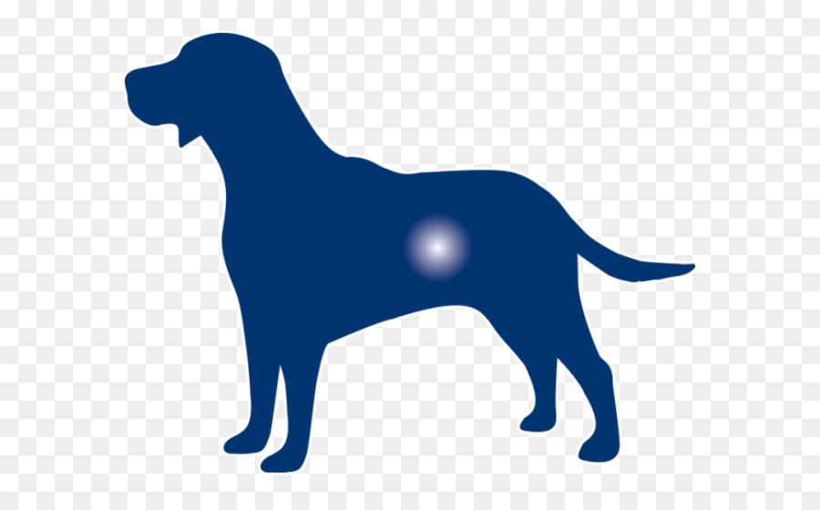 Labrador Retriever，Cachorro PNG