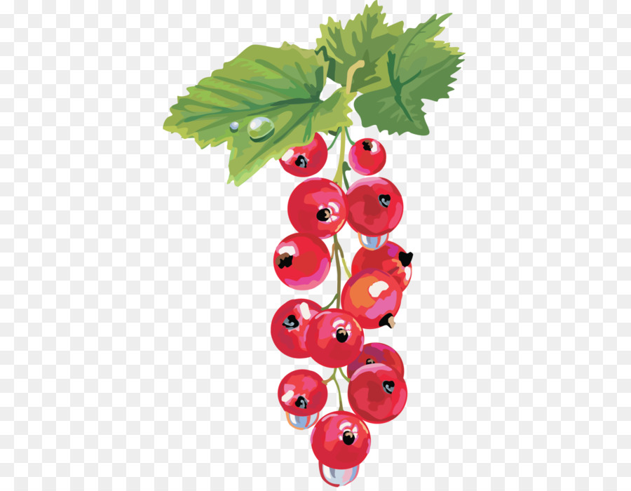 Uvas Rojas，Racimo PNG