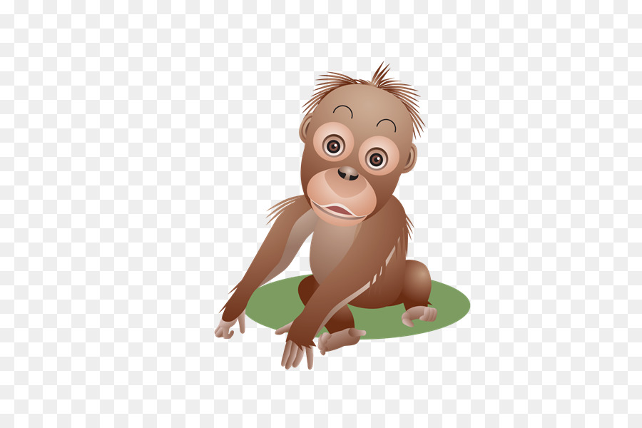 Mono，Orangután PNG