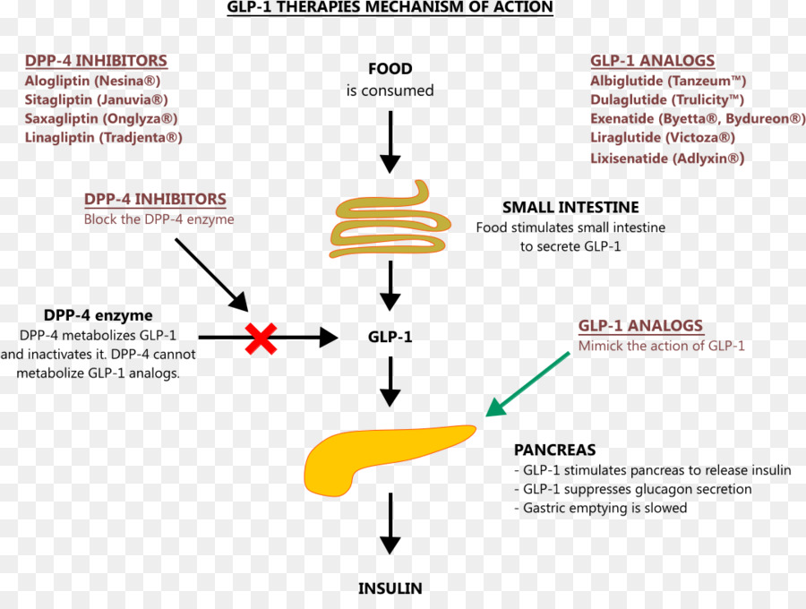 La Dipeptidil Peptidase4 Inhibidor De La，Glucagonlike Peptide1 Receptor Agonista PNG