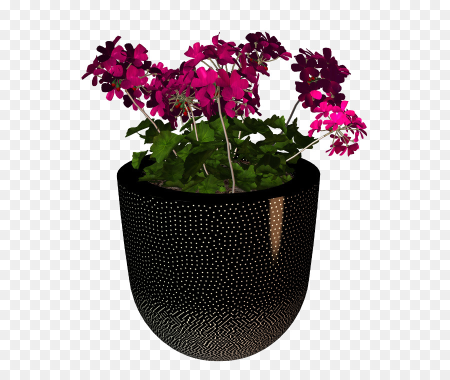 Maceta，Planta De Interior PNG