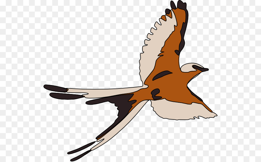 Aves，Iconos De Equipo PNG