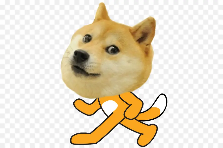 Cara De Perro Shiba Inu，Perro PNG