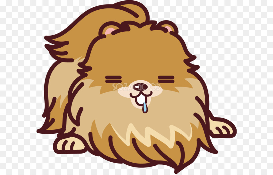 Pomerania，Shiba Inu PNG