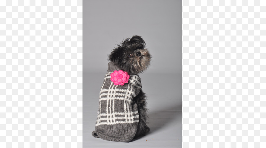 Affenpinscher，Raza De Perro PNG