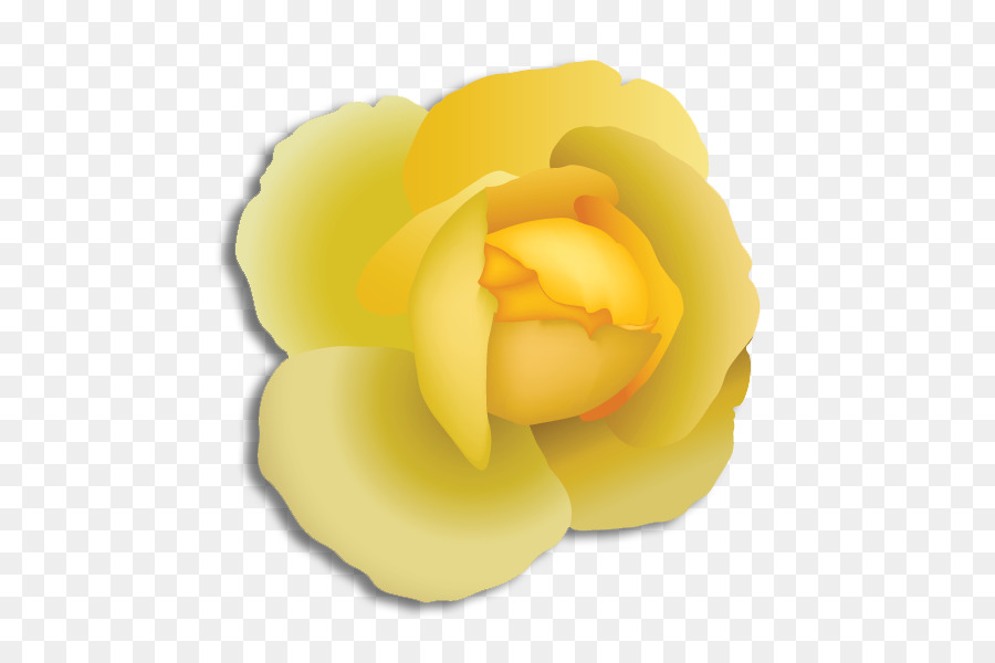 Las Rosas De Jardín，Alpha Phi Alpha PNG