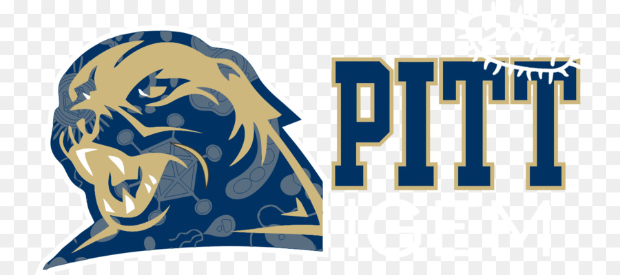 Universidad De Pittsburgh，Fútbol De Pittsburgh Panthers PNG