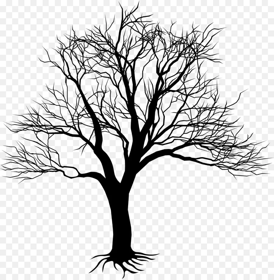 Royaltyfree，Árbol PNG