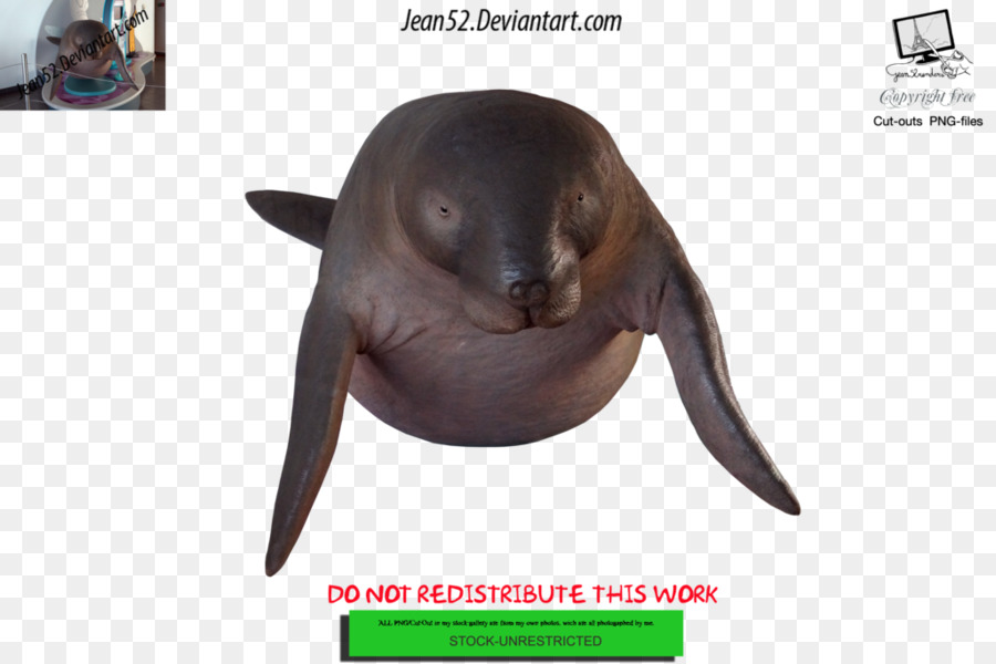 Escultura De Foca，Animal PNG