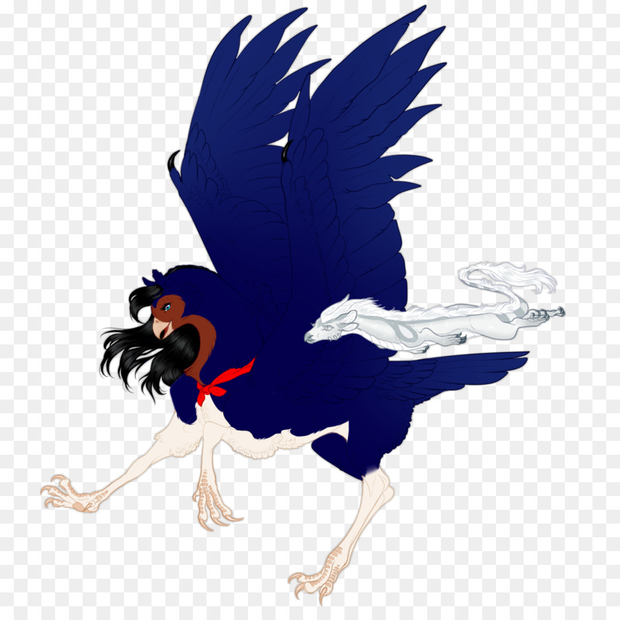 Gallo，Pluma PNG