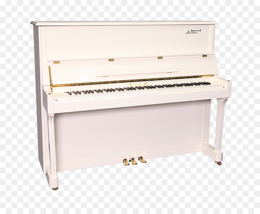 Piano Digital，Piano Eléctrico PNG