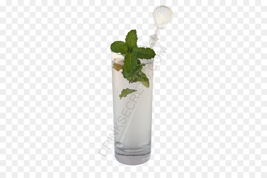 Mojito，Mint Julep PNG