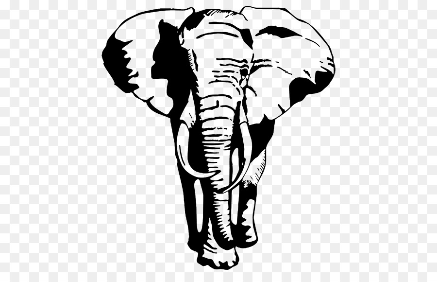 Elefante，Fauna PNG