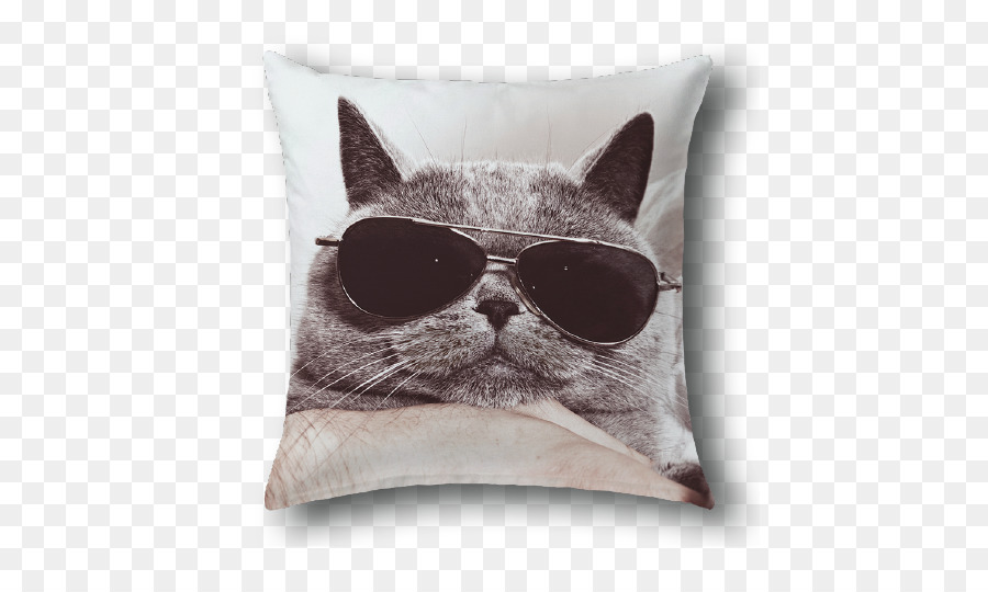 British Shorthair，Gatito PNG