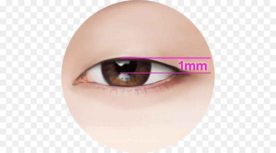 La Ptosis，Párpado PNG