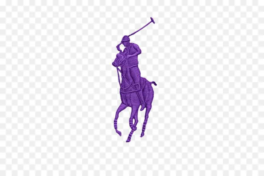 Jugador De Polo，Polo PNG