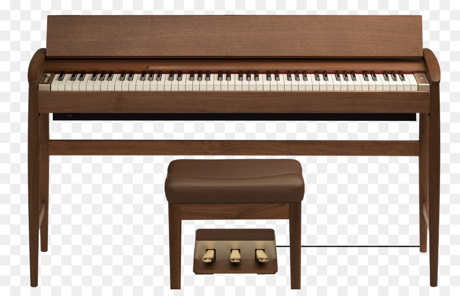 Piano Digital，Piano Eléctrico PNG