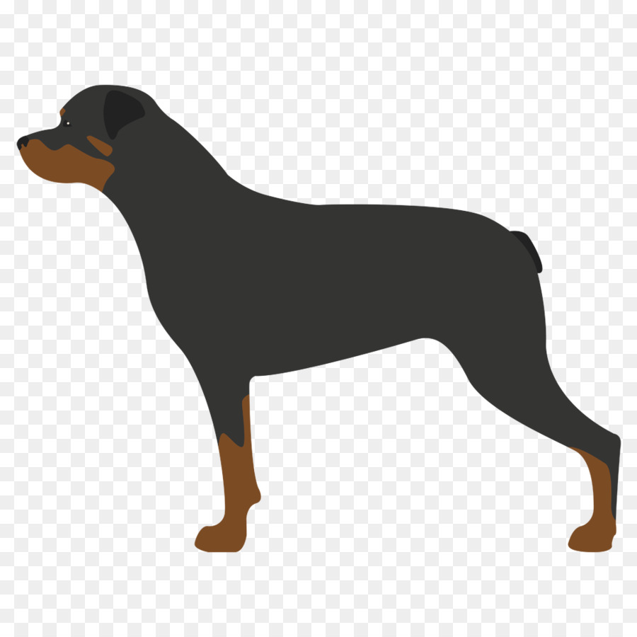 Pinscher Alemán，Cachorro PNG