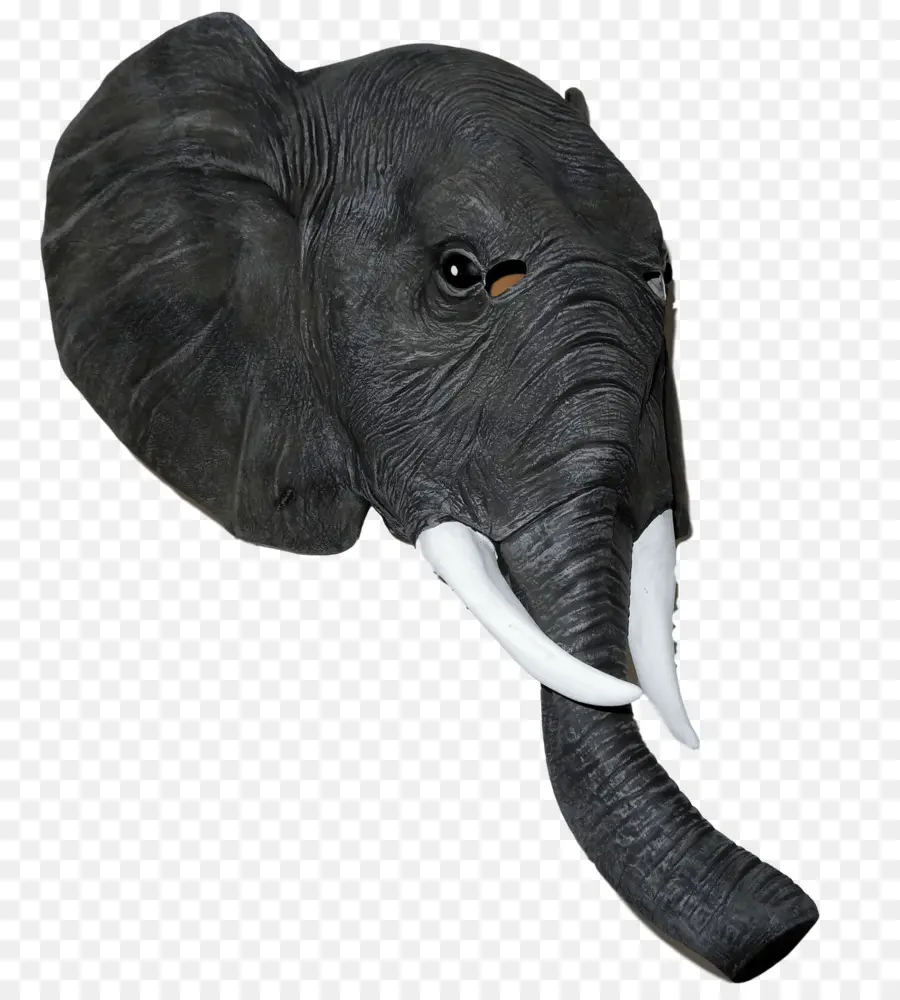 Elefante Indio，El Elefante Africano PNG