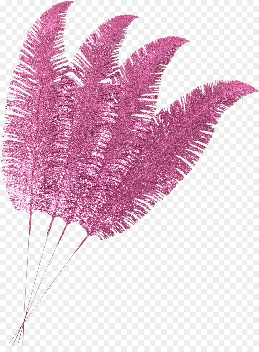 Pluma，Rosa Lápiz PNG