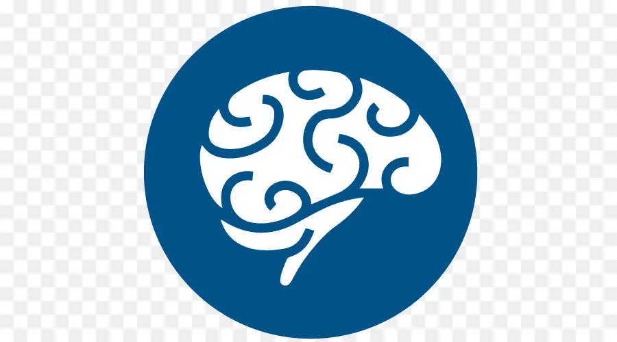 Icono Del Cerebro，Cerebro PNG