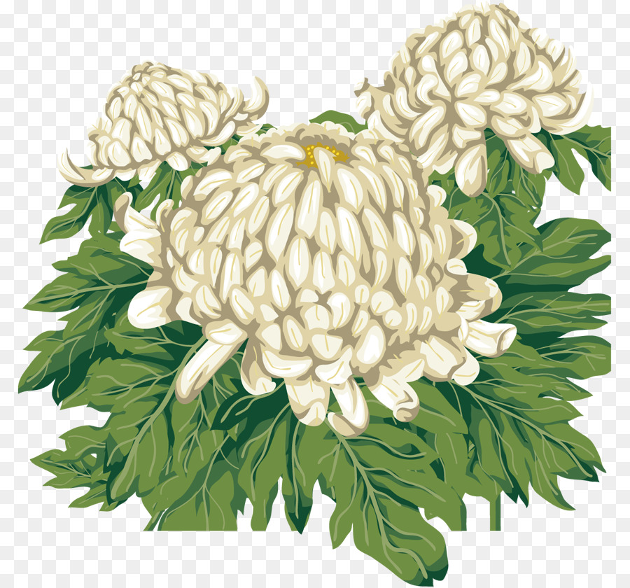 Crisantemo，Diseño Floral PNG