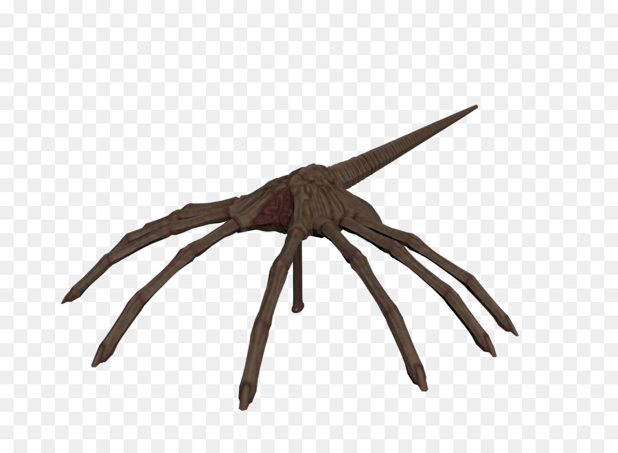 Araña Mecánica，Robot PNG