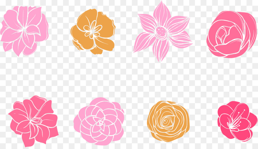 Flor，Diseño Floral PNG