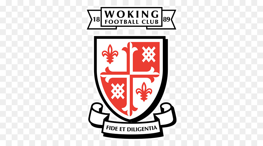 Woking Fc，Kingfield Stadium PNG