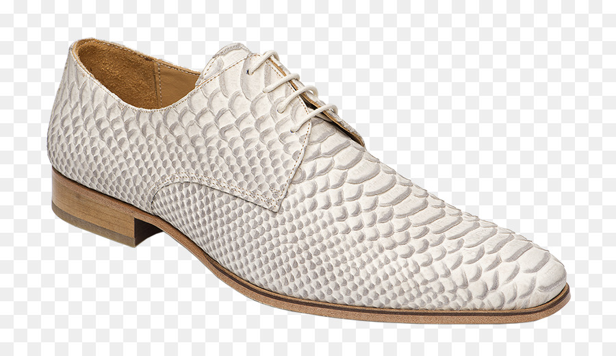 Zapato，La Corte De Zapato PNG