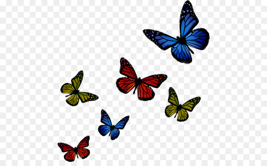 Mariposas Coloridas，Insectos PNG