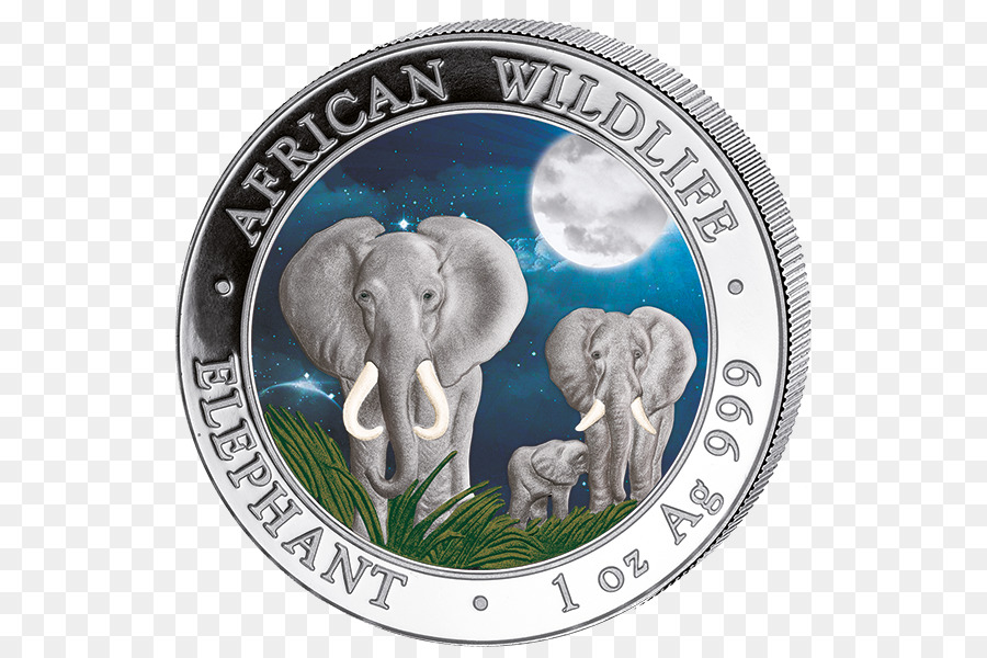 Elefante Indio，Moneda PNG