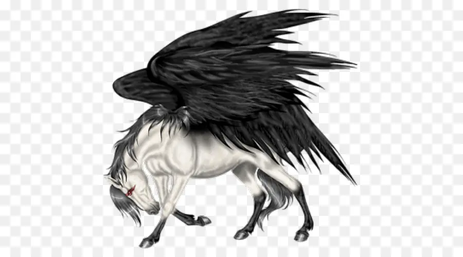 Pegasus，Caballo PNG