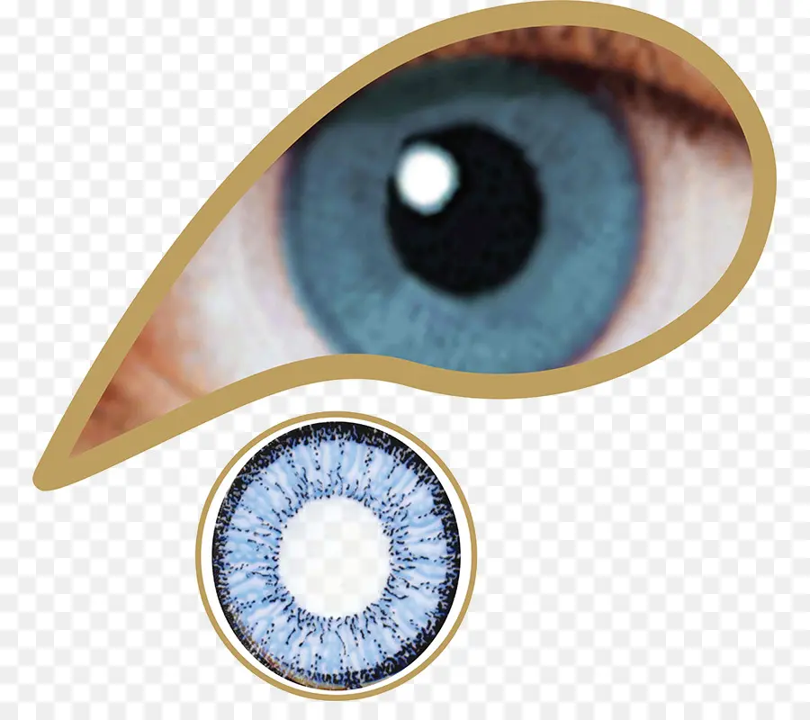 Lentes De Contacto，Verde PNG