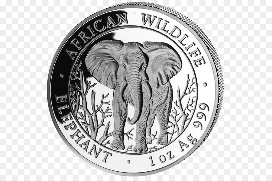 Moneda De Elefante，Africano PNG