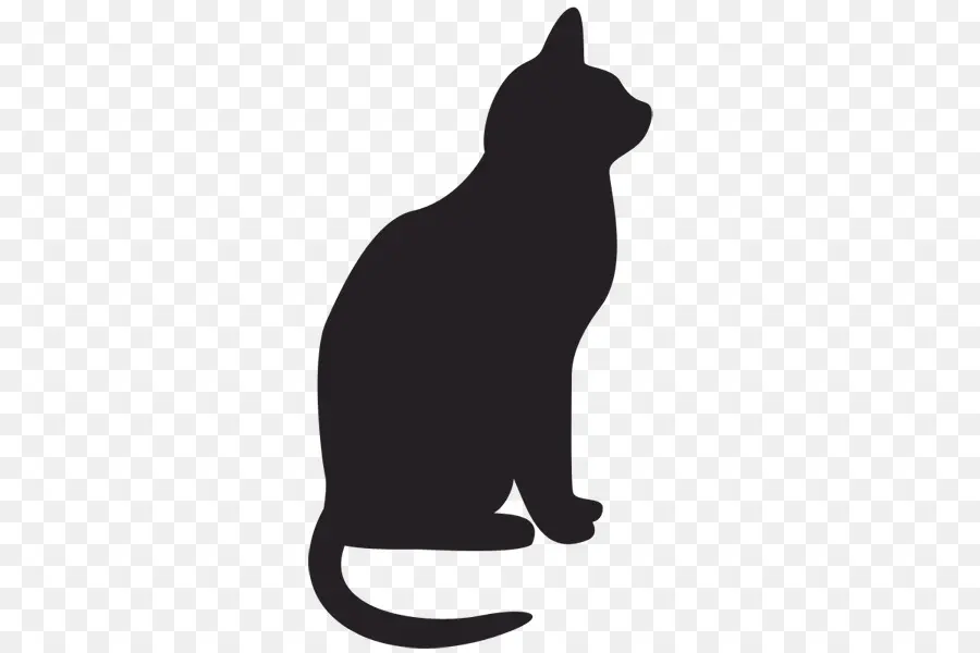 Gato，Gato Negro PNG