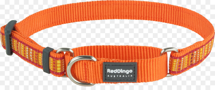 Perro，Collar PNG