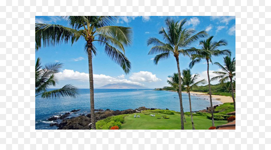 Wailea Hawaii，Makena Hawaii PNG