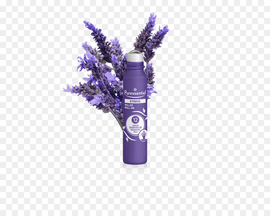 Inglés Lavanda，El Aceite De Lavanda PNG