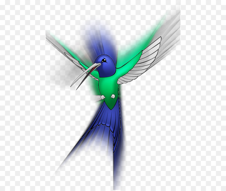 Colibrí，Ala PNG